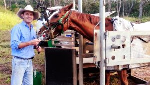 Stabler and Howlett Veterinary Surgeons - Horse Services